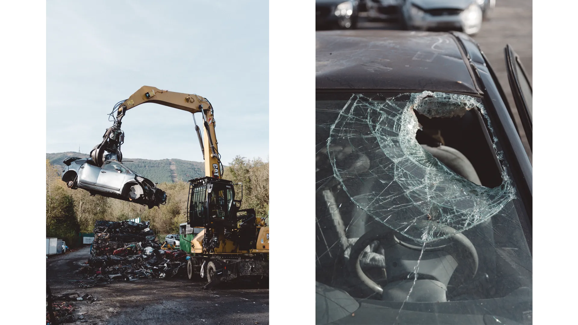 lm_fw25_campaign lm_fw25_campaign